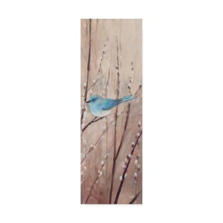 Julia Purinton 'Pretty Birds' Canvas Art,16x47